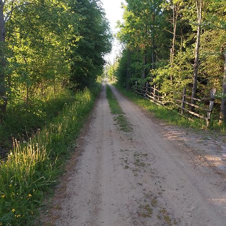 Domek Gajowy Białowieża エクステリア 写真